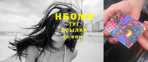стаф Алексин