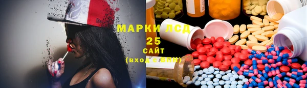 стаф Алексин