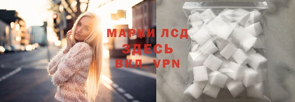 стаф Алексин