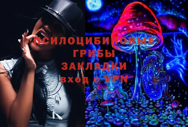сатива Алексеевка